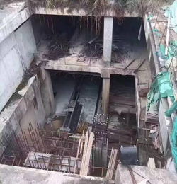 粵港澳大灣區西線新動脈 虎門、長安工程建設迎來實質性利好，實地勘察全面展開